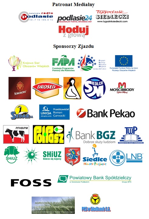 logotypy