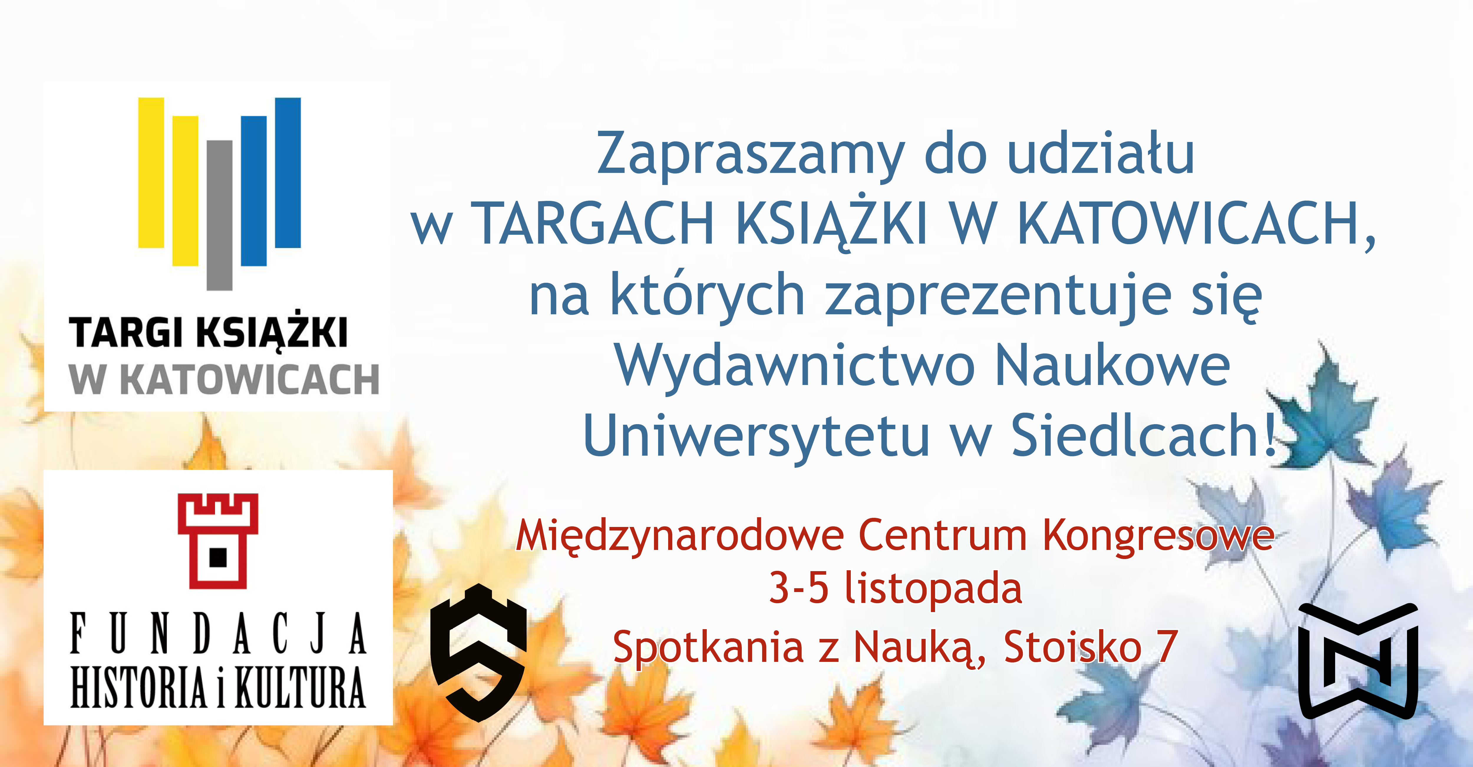 katowice baner